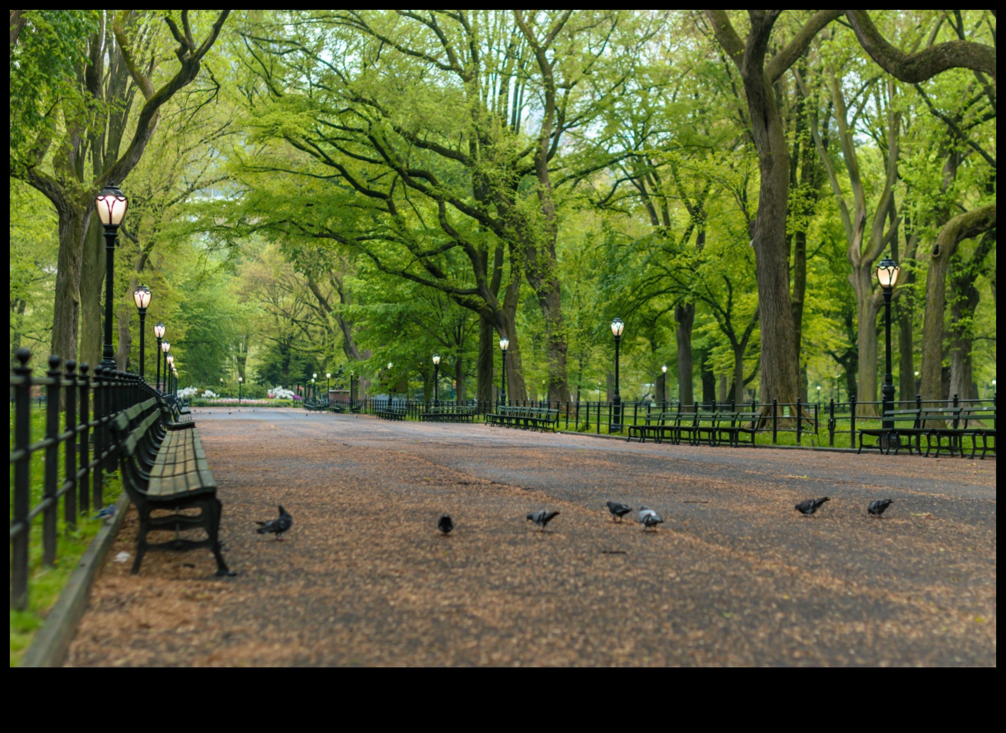 Green Oasis in the Concrete Jungle 4 Πάρκα και Κήποι: Όαση Πρασίνου σε Αστικά Τοπία