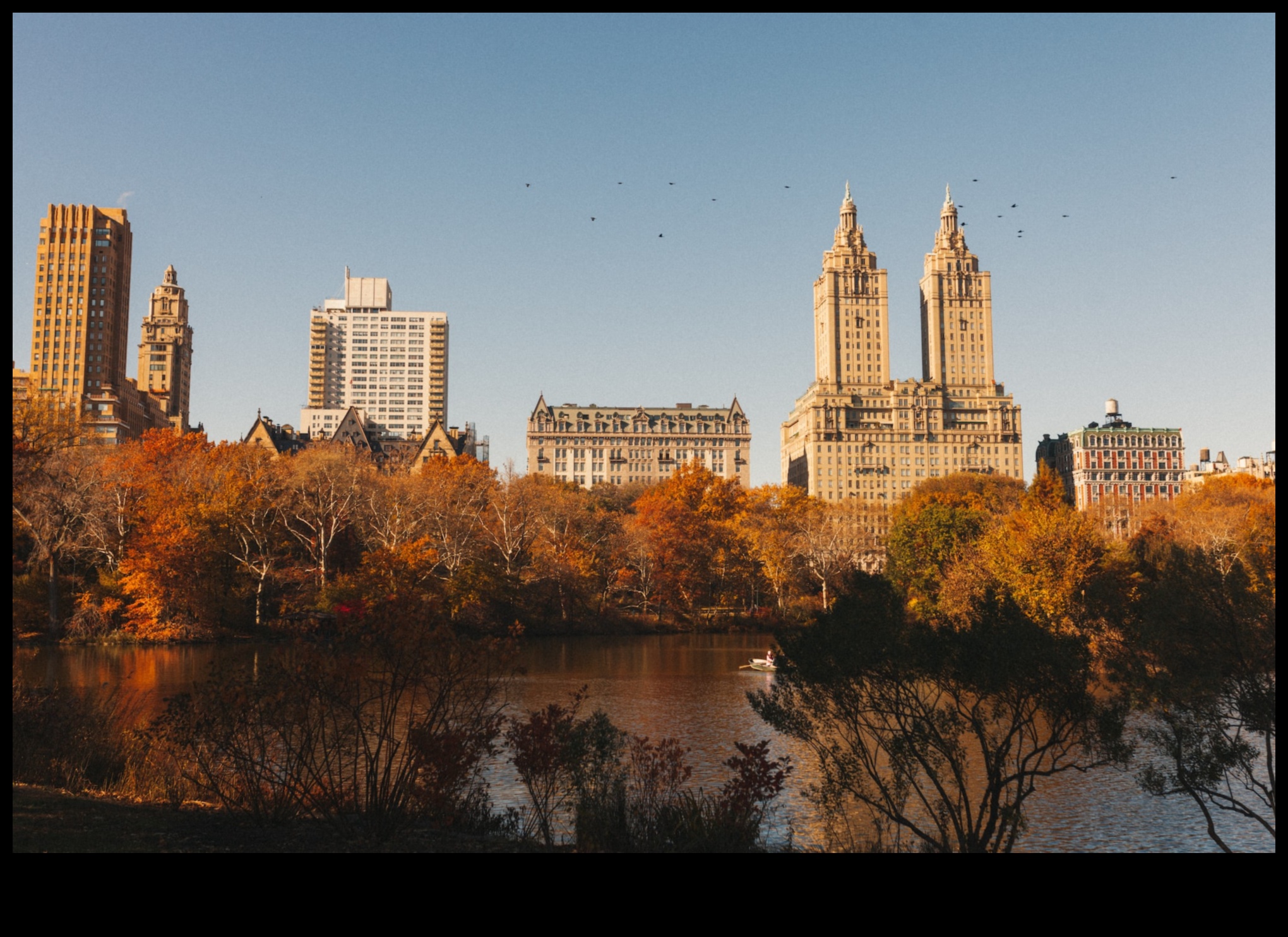 Green Oasis in the Concrete Jungle 3 Πάρκα και Κήποι: Όαση Πρασίνου σε Αστικά Τοπία