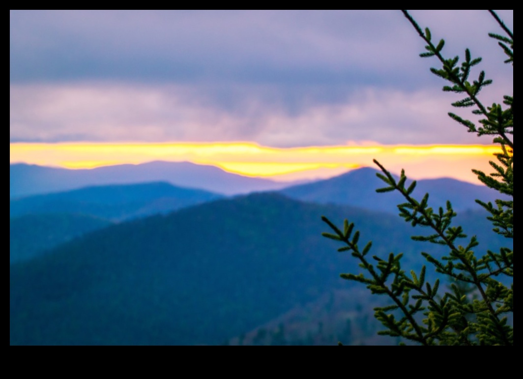 Digital Dexterity: Advanced Photography Tutorials Series