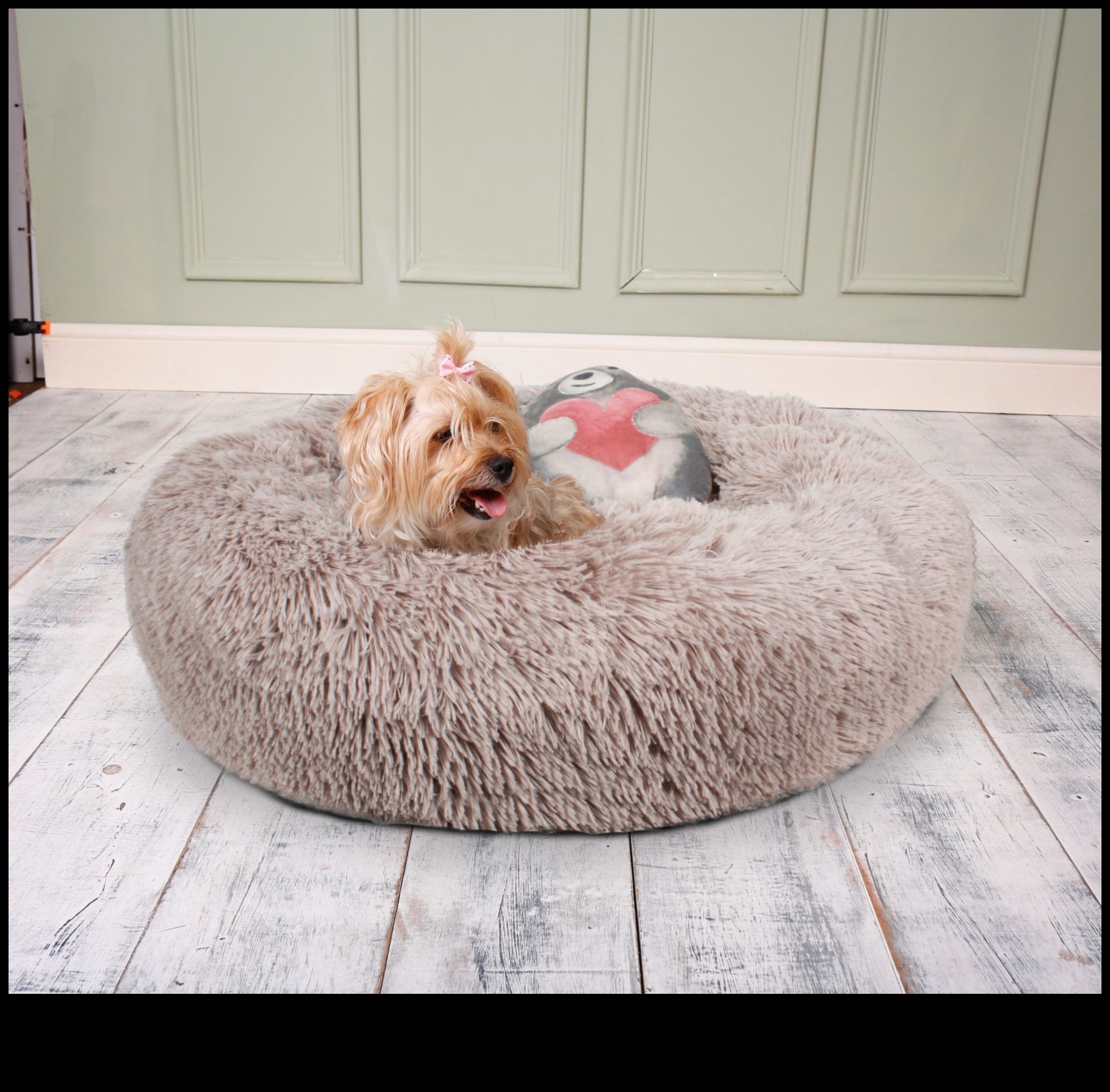 Κατοικίδια Το δώρο που συνεχίζει να δίνει 2 Δώρα DIY για λάτρεις των ζώων: Δώρα με επίκεντρο τα κατοικίδια