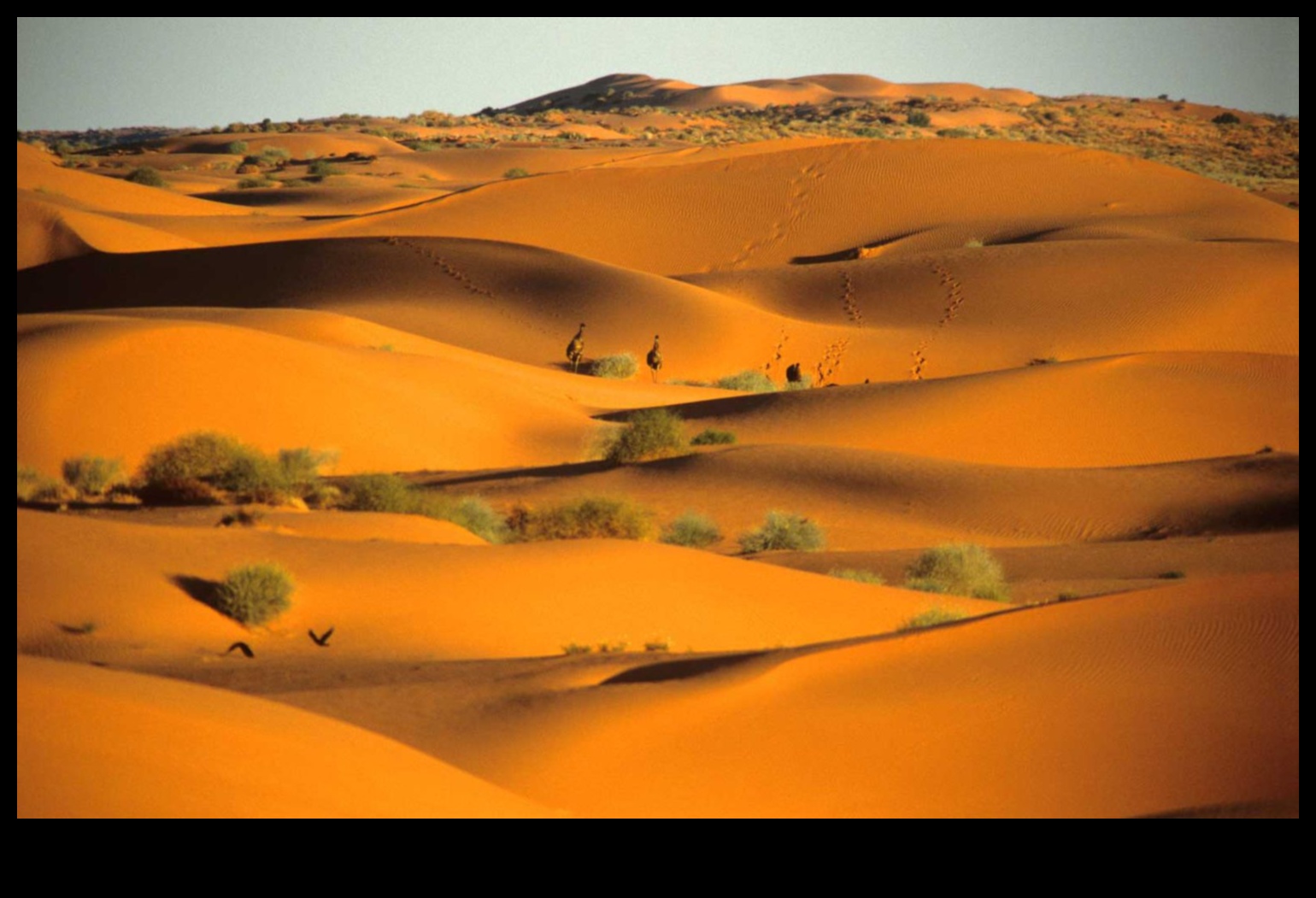 Η γοητεία των τοπίων της ερήμου