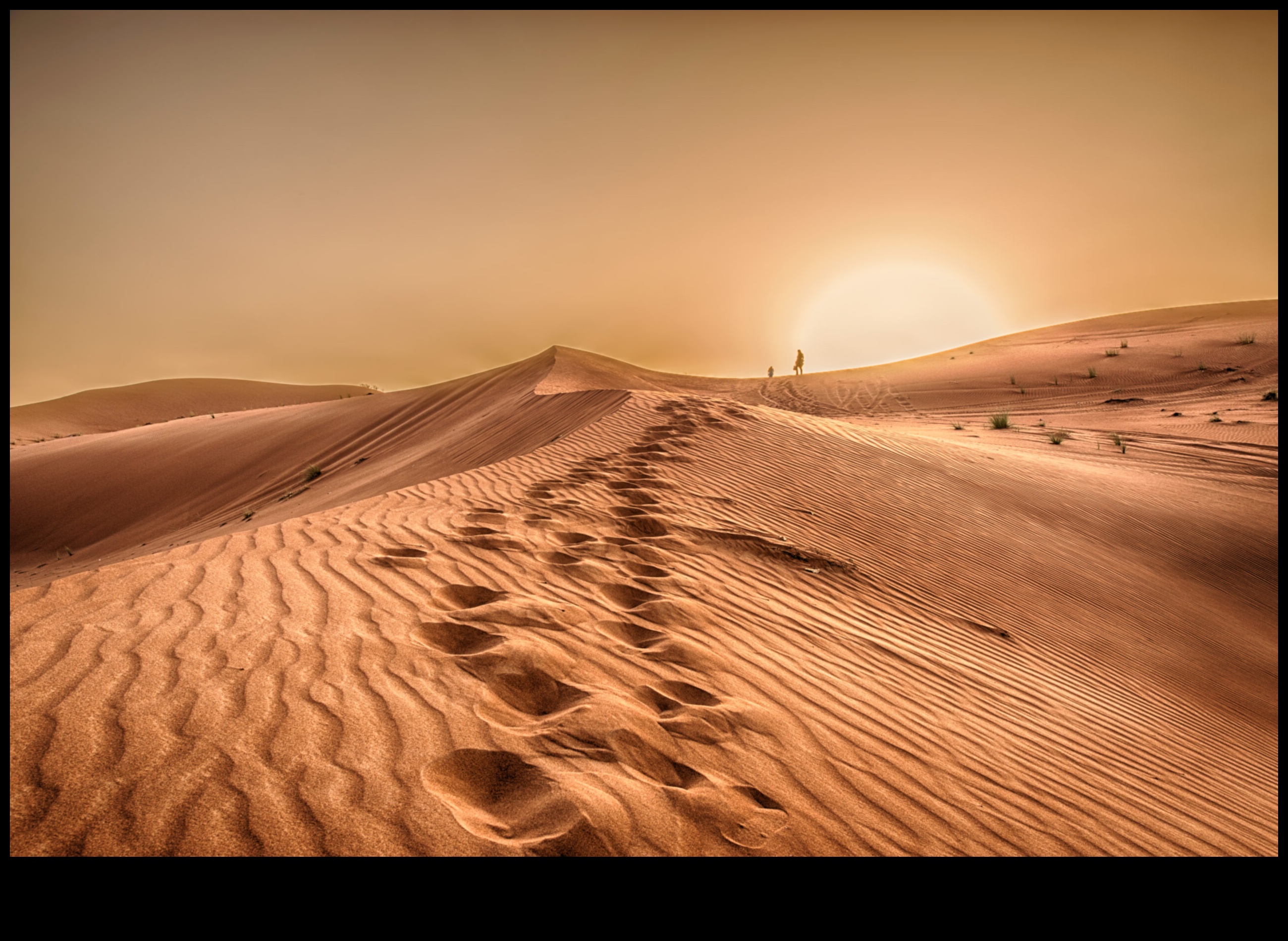 Η γοητεία των τοπίων της ερήμου