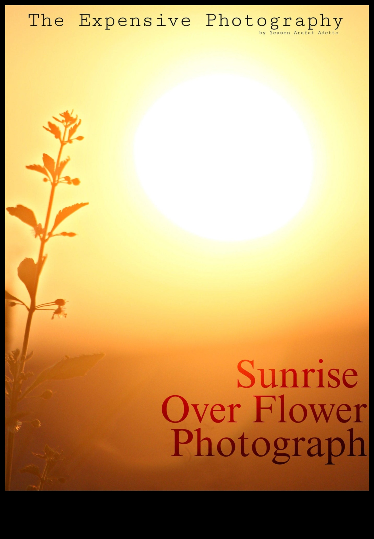 Αιχμαλωτίστε τη μαγεία της ηρεμίας με την ανατολή του ηλίου με αυτές τις πρώτες πρωινές συμβουλές φωτογραφίας 2 Sunrise Serenity: Mastering Techniques for Early Morning Photography