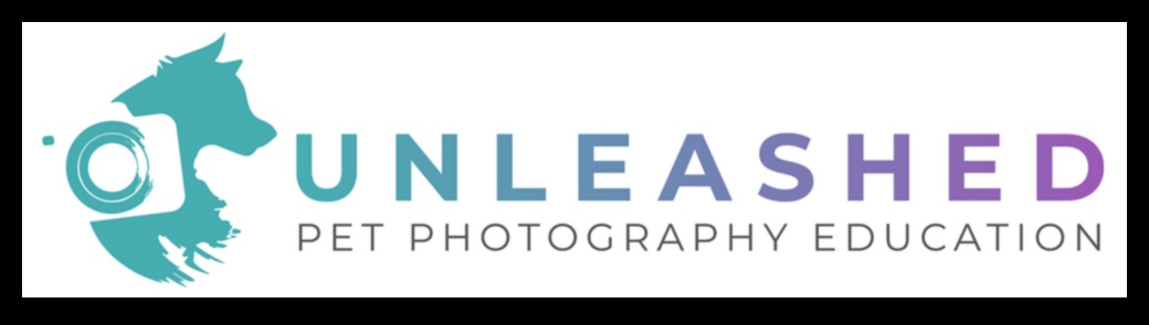 Photography Unleashed Μάθετε από τους επαγγελματίες και απογειώστε τις δεξιότητές σας στο επόμενο επίπεδο 4 Photography Unleashed: Βουτήξτε στη μαεστρία με την εκπαίδευση ειδικών