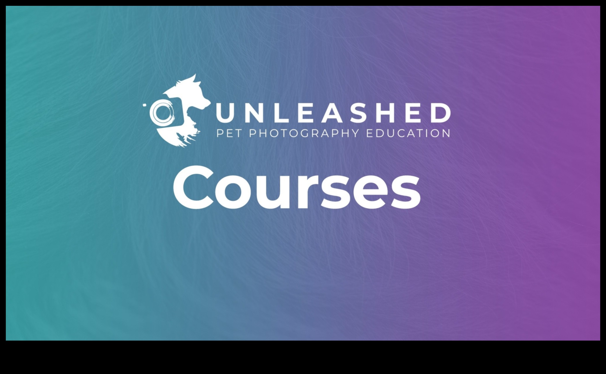 Photography Unleashed Μάθετε από τους επαγγελματίες και απογειώστε τις δεξιότητές σας στο επόμενο επίπεδο 2 Photography Unleashed: Βουτήξτε στη μαεστρία με την εκπαίδευση ειδικών