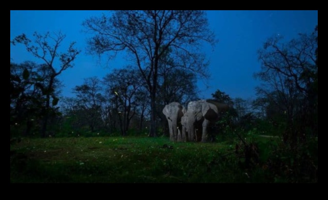 Ψηφιακή Τέχνη Εμπνευσμένη από τη Φύση: Pixels of Natural Beauty