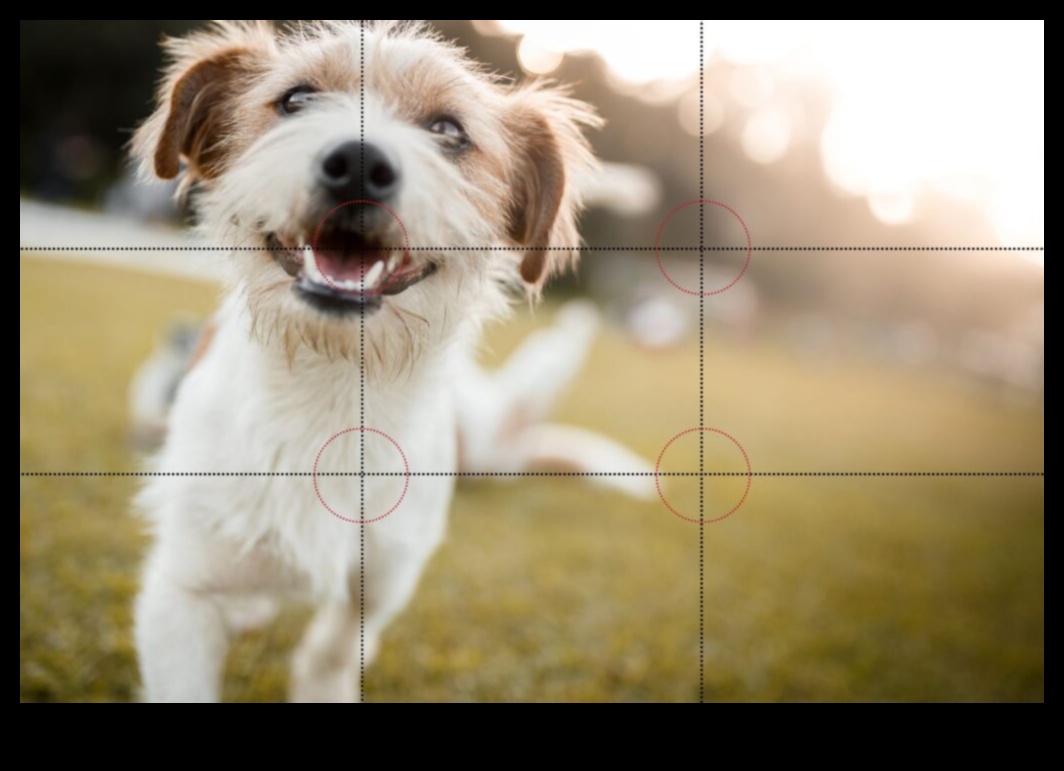 Visual Virtuoso: Transforming Ordinary Shots σε Extraordinary Art