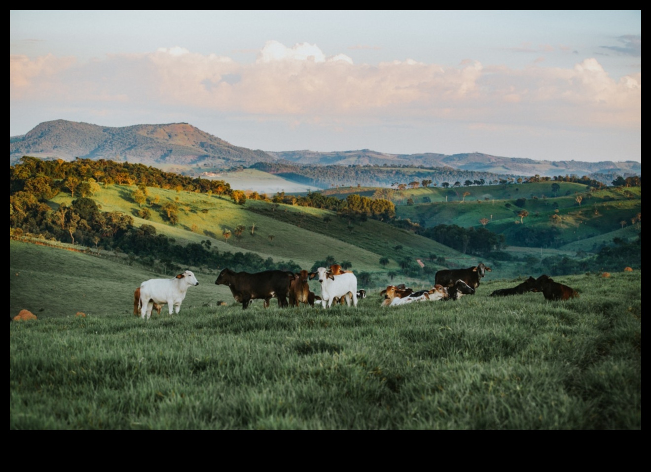 Πώς συμβάλλουν διαφορετικά οικοσυστήματα στη βιοποικιλότητα των τοπίων;