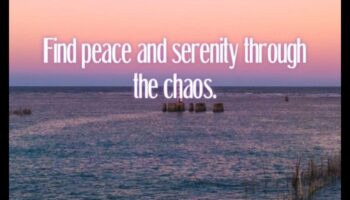 Cityscape Serenity: Mastering Techniques for Creating Calm Midst Urban Chaos