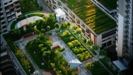 Green Oases: Parks and Gardens in the Heart of Cities