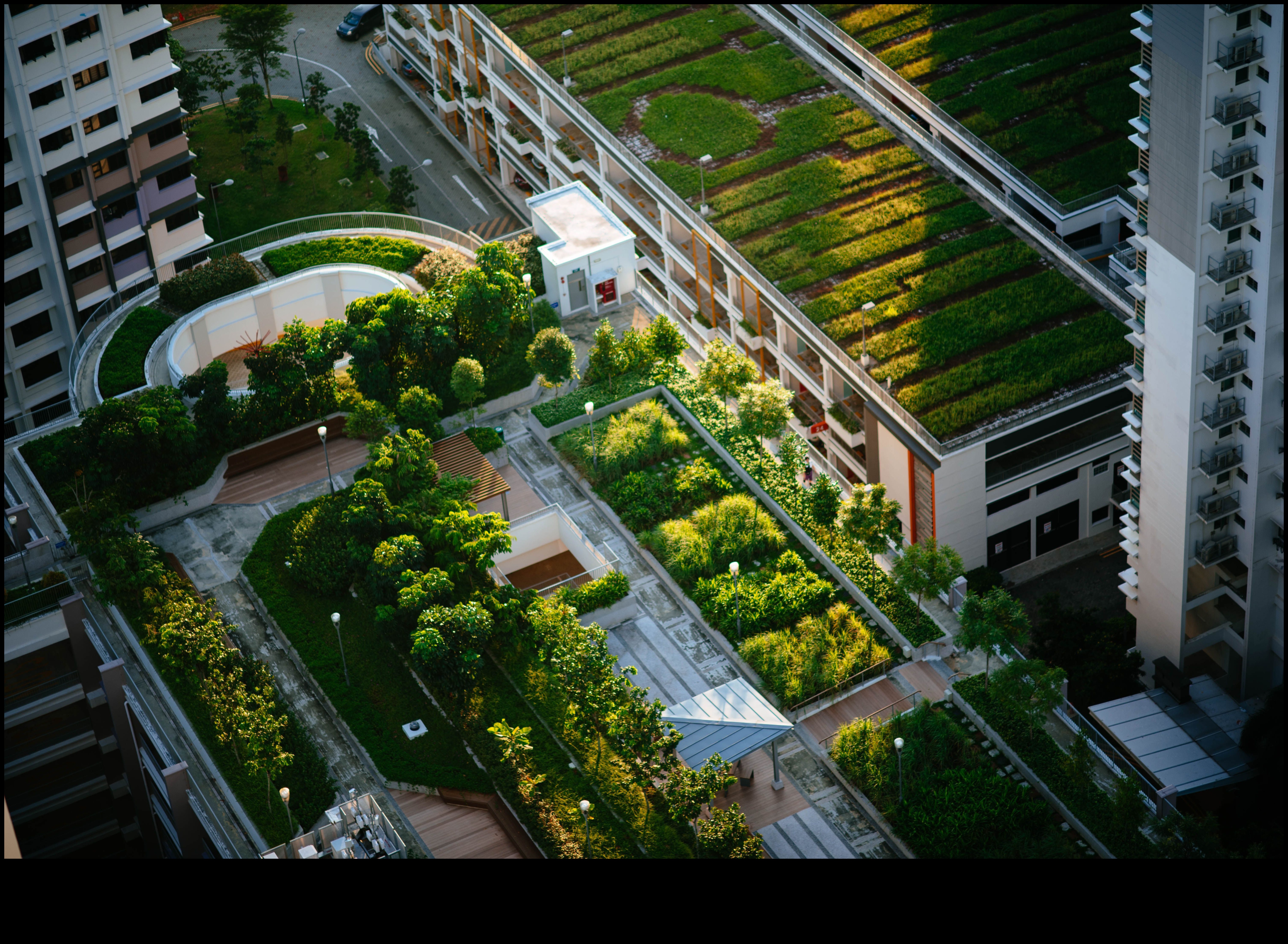 Green Oases: Parks and Gardens in the Heart of Cities