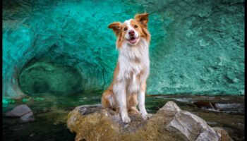 Photography Unleashed: Βουτήξτε στη μαεστρία με την εκπαίδευση ειδικών