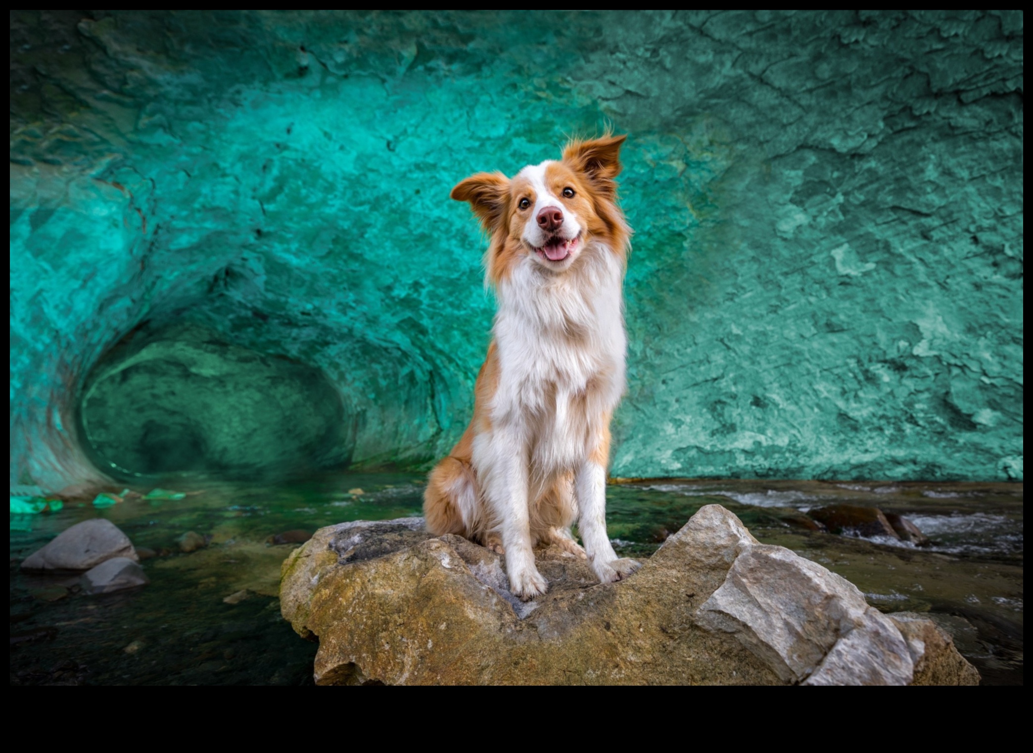 Photography Unleashed Μάθετε από τους επαγγελματίες και απογειώστε τις δεξιότητές σας στο επόμενο επίπεδο 1 Photography Unleashed: Βουτήξτε στη μαεστρία με την εκπαίδευση ειδικών