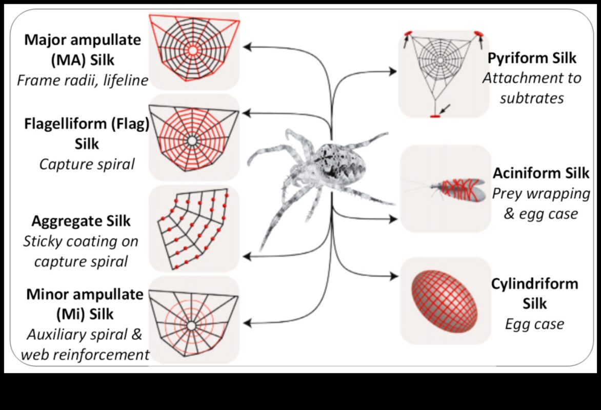 The Social Weaver: Spinning Threads of Connection in Digital Webs