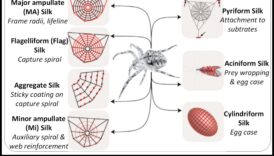 The Social Weaver Spinning Threads of Connection οδήγησε ψηφιακούς ιστούς 3 The Social Weaver: Spinning Threads of Connection in Digital Webs
