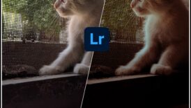 Visual Virtuoso Μεταμορφώνοντας τις Συνήθεις Εικόνες οδήγησε Εξαιρετική Έργο τέχνης 1 Visual Virtuoso: Transforming Ordinary Shots σε Extraordinary Art