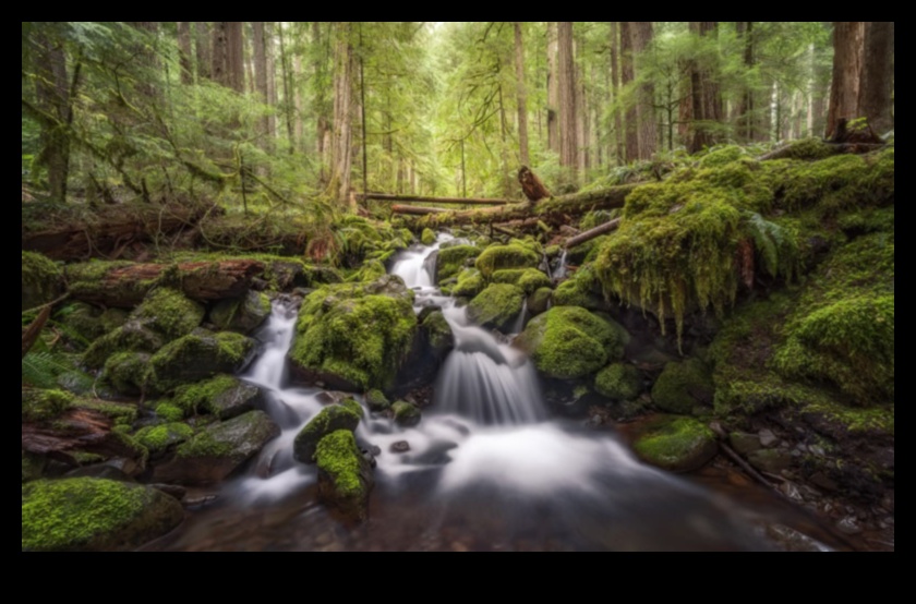 Ένα ταξίδι στην ηρεμία Συναρπαστικές σκηνές τοπίων 1 Ταξίδι στη Γαλήνη: Τοπίο που κόβει την ανάσα