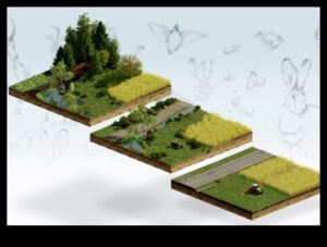 Πώς συμβάλλουν διαφορετικά οικοσυστήματα στη βιοποικιλότητα των τοπίων;