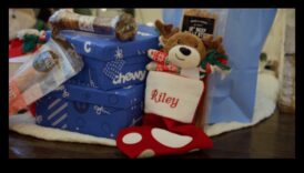 Κατοικίδια Το ανταμοιβή που συνεχίζει σκοπήσετε να προσφέρει 3 Δώρα DIY για λάτρεις των ζώων: Δώρα με επίκεντρο τα κατοικίδια