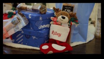 Δώρα DIY για λάτρεις των ζώων: Δώρα με επίκεντρο τα κατοικίδια