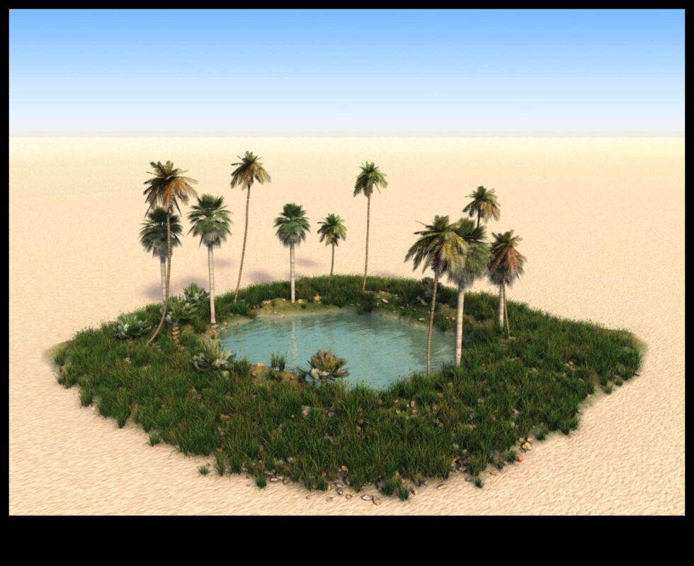 Deserts Reimagined: Finding Beauty in Arid Landscapes Ξανά