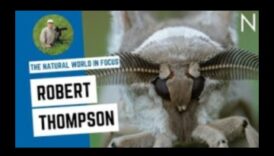 Ψηφιακή Τέχνη Εμπνευσμένη από τη Φύση: Pixels of Natural Beauty