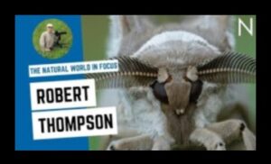 Ψηφιακή Τέχνη Εμπνευσμένη από τη Φύση: Pixels of Natural Beauty