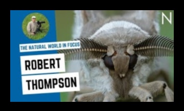 Ψηφιακή Τέχνη Εμπνευσμένη από τη Φύση: Pixels of Natural Beauty