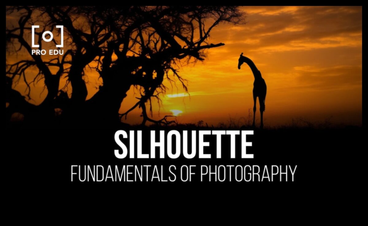 Dramatic Silhouettes: Pro Techniques for Striking Outline Photography
