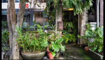 Πάρκα και Κήποι: Όαση Πρασίνου σε Αστικά Τοπία