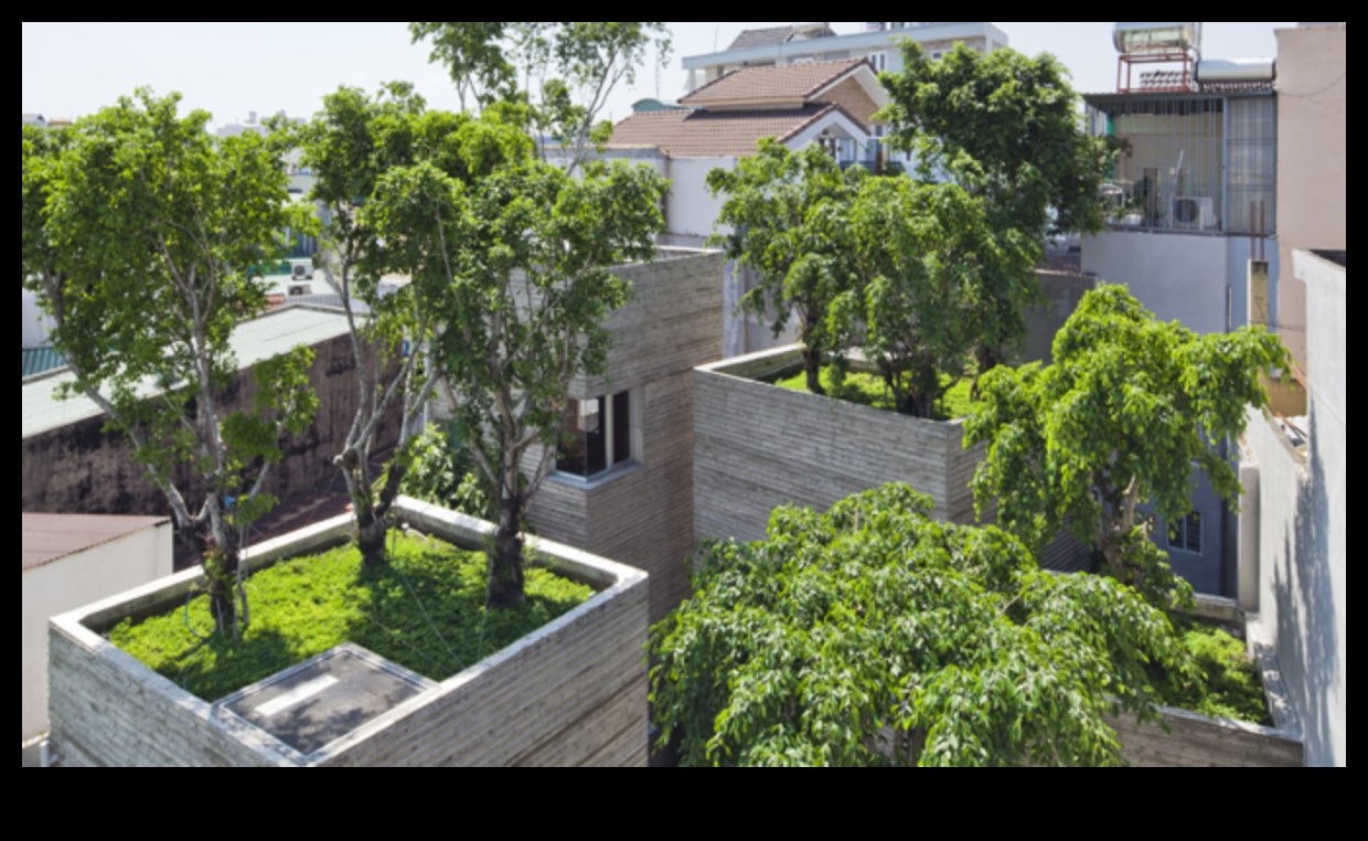 Τι ρόλο παίζουν οι αστικοί χώροι πρασίνου στη βελτίωση των τοπίων της πόλης;