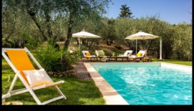 Rural Reveries: Ήρεμες σκηνές από τοπία εξοχής